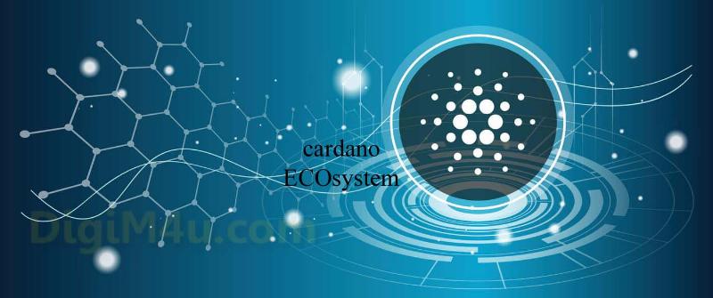 نگاهی به اکوسیستم کاردانو