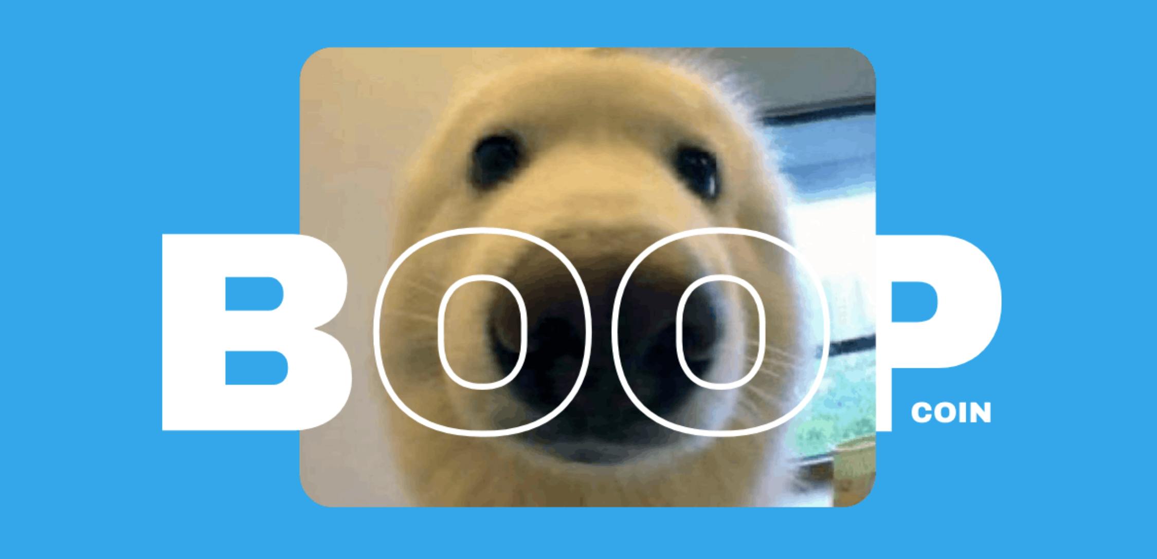 ارز دیجیتال بازی BOOP در یک نگاه