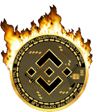 توکن سوزی بایننس کوین