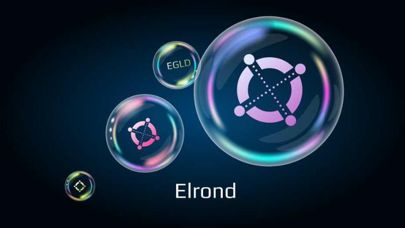 بلاکچین الروند EGLD