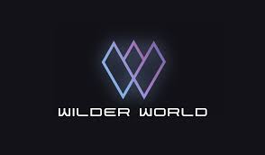 Wilder World Metaverse