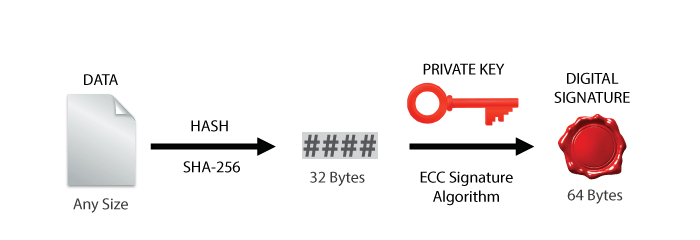 الگوریتم ECDSA