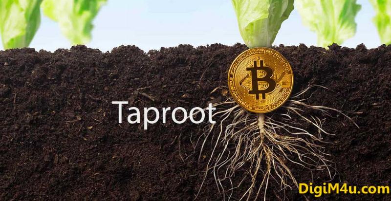 تپروت Taproot چیست ؟