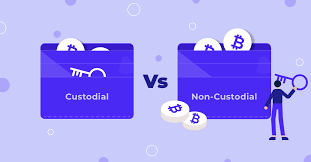 مقایسه انواع اختیار در کیف پول ارزی