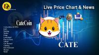 تحليل تکنيکال ارز کیت کوين CateCoin با نماد CATE