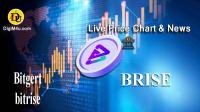 تحليل تکنيکال ارز ديجيتال بیتگرت Bitgert با نماد BRISE