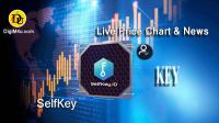 تحليل ارز سلفکی SelfKey با نماد KEY