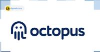 تحليل تکنيکال ارز اختاپوس Octopus Network با نماد OCT