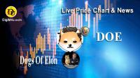 تحليل تکنيکال ارز داگزاف الون Dogs Of Elon با نماد DOE