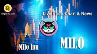 تحليل تکنيکال ارز میلواینو Milo Inu با نماد MILO