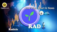 تحليل ارز رادیکل Radicle با نماد RAD