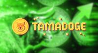 تحليل تکنيکال ارز تامادوج Tamadoge با نماد TAMA