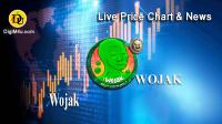 تحليل ارز ووجک Wojak با نماد WOJAK