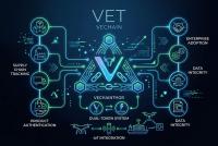 ارز دیجیتال وی چین vet در یک نگاه