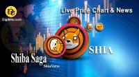 تحليل تکنيکال ارز شیباساگا Shiba Saga با نماد SHIA