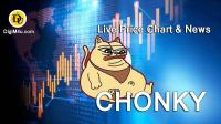 تحليل تکنيکال ارز چونکی CHONKY با نماد CHONKY