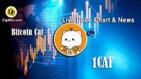 تحليل تکنيکال ارز بیتکُوینکتس Bitcoin Cats با نماد 1CAT