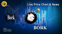 تحليل تکنيکال ارز بورک BORK با نماد BORK