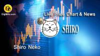 تحليل تکنيکال ارز شیرو نکو Shiro Neko با نماد SHIRO