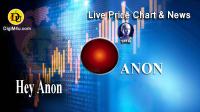 تحليل تکنيکال ارز هی آنون Hey Anon با نماد ANON