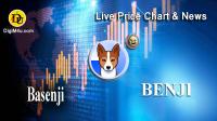 تحليل تکنيکال ارز باسنجی Basenji با نماد BENJI