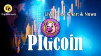 تحليل تکنيکال ارز پیگکوین PIGCLOIN با نماد PigCoin