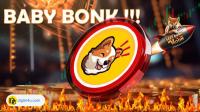 تحليل تکنيکال ارز بونک بیبی BonkBaby با نماد BOBY