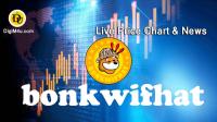 تحليل تکنيکال ارز بونکویفهت bonkwifhat با نماد BIF