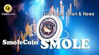 تحليل تکنيکال ارز اسمول کوین Smolecoin با نماد SMOLE