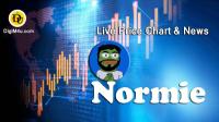 تحليل تکنيکال ارز نورمی Normie با نماد NORMIE