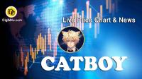 تحليل تکنيکال ارز کتبوی Catboy با نماد CATBOY