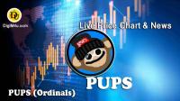 تحليل تکنيکال ارز پاپس PUPS (Ordinals) با نماد PUPS