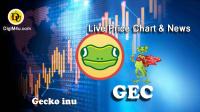 تحليل تکنيکال ارز چکواینو Gecko inu با نماد GEC