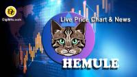 تحليل تکنيکال ارز همیول Hemule با نماد HEMULE