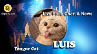 تحليل تکنيکال ارز تانگوکت Tongue Cat با نماد LUIS
