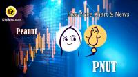 تحليل تکنيکال ارز پینات Peanut با نماد PNUT