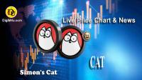 تحليل تکنيکال ارز سایمونزکت Simon s Cat با نماد CAT