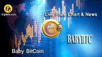 تحليل تکنيکال ارز بیبی بیتکوین Baby BitCoin با نماد BABYBTC