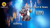 تحليل تکنيکال ارز سادنگ sudeng با نماد HIPPO