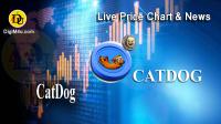 تحليل تکنيکال ارز کت داگ CatDog با نماد CATDOG