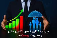 سرمایه گذاری تامین مالی
