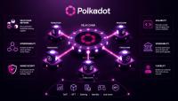 همه چیز درباره پولکادات DOT
