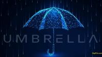 ارز دیجیتال Umbrella Network در یک نگاه