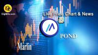 تحليل تکنيکال مارلین Marlin با نماد POND